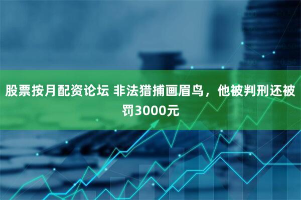 股票按月配资论坛 非法猎捕画眉鸟，他被判刑还被罚3000元